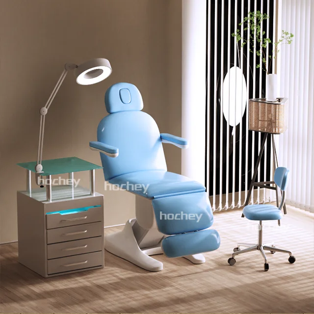 Hochey Beauty Electric Medical Spa Treatment Table Facial Massage Bed