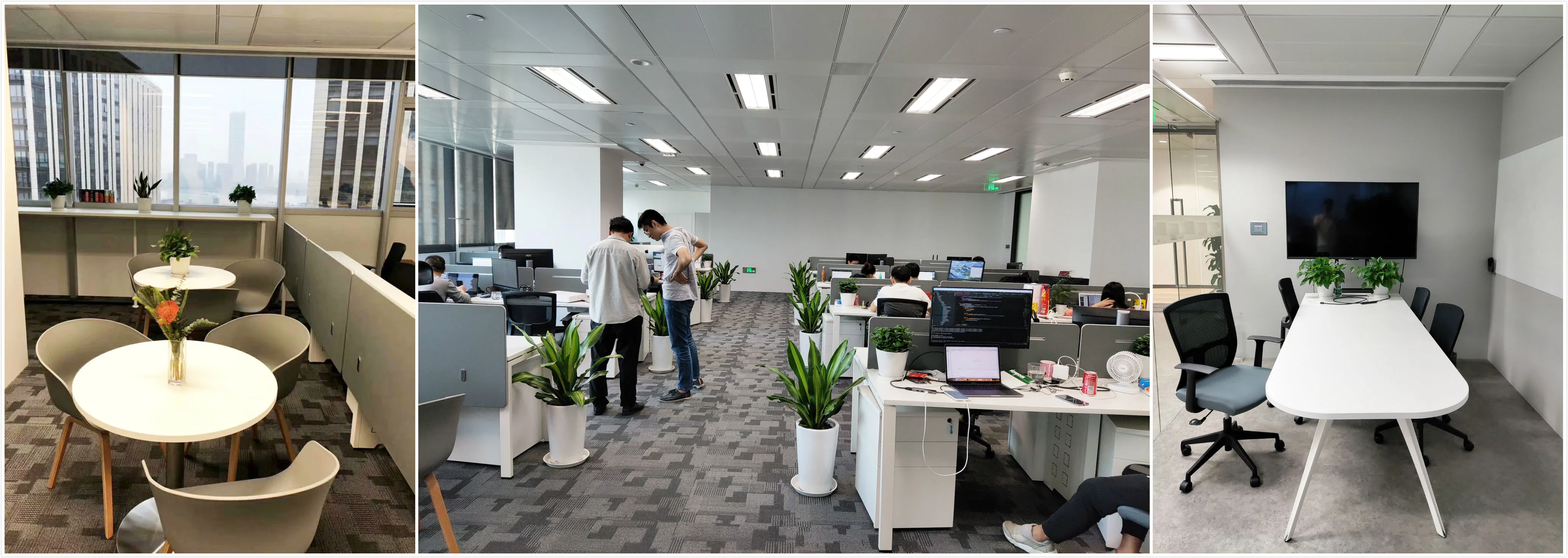 Nanjing Cyan Industry Company Limited