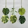N°4 Feuilles de Dos de Tortue - Vert