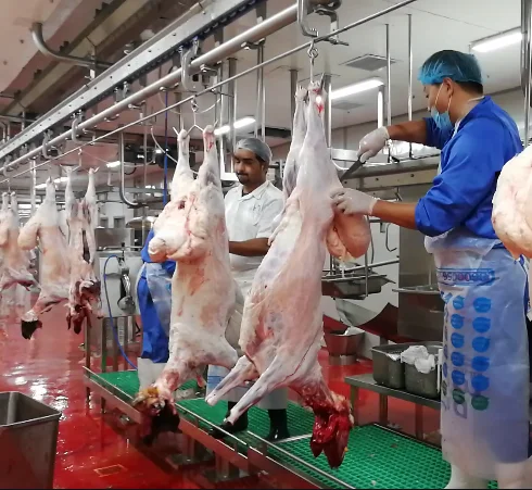 Sheep Butcher Customized Lamb Slaughterhouse Craftsmanship