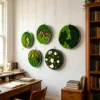 preserved moss wall