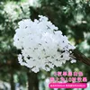 Blanc monocouche à trois volets