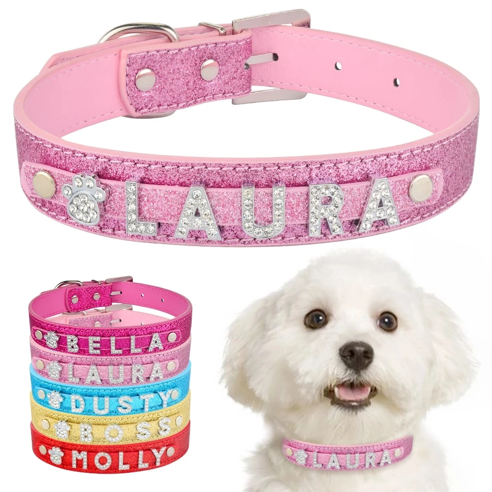 cat name collars
