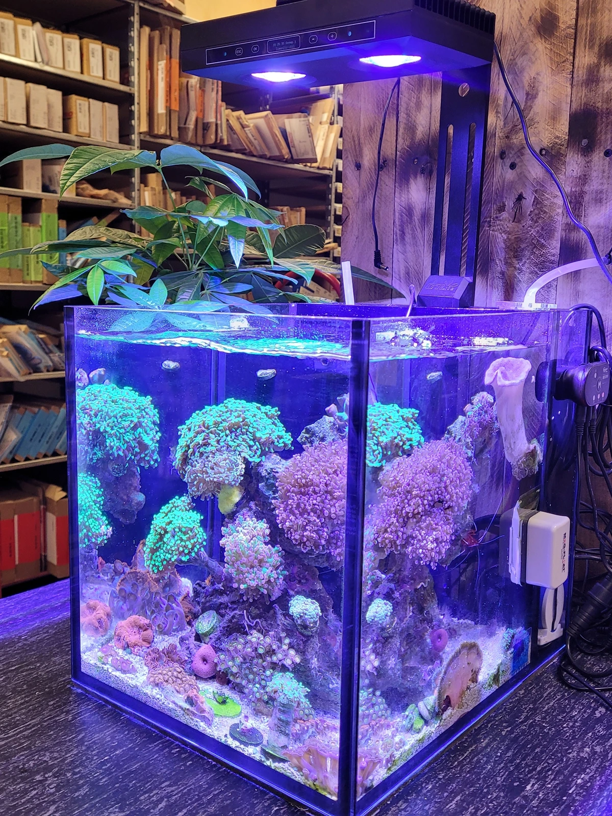 CTLite G5 AquaStar 95W Full Spectrum LED Aquarium Light for Coral