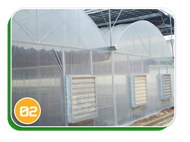 Greenhouse Turnkey Solution