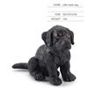 pequeño perro negro