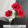 Snow Mountain Rose