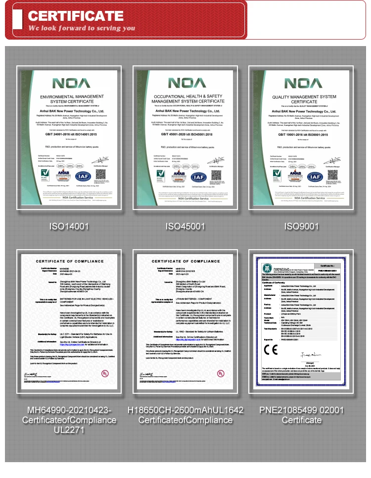 36v 48v 52v 72v Ebike Batteries 13ah 15ah 17.5ah 21ah 24ah Hailong Ion