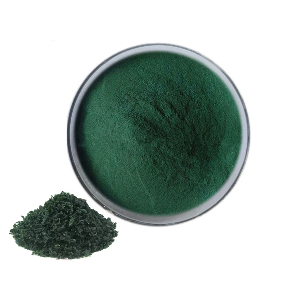 Food Feed Grade Nano Alga Wholesale Price Protein Supplement Bulk Chlorella Organic Spirulina Powder