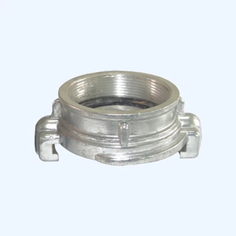 BaiChuan Hot Selling Fire Safety Aluminum DN50 DN65 Gost 2 Lugs Adaptor Female or Male Thread Adaptor