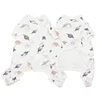 Star Print