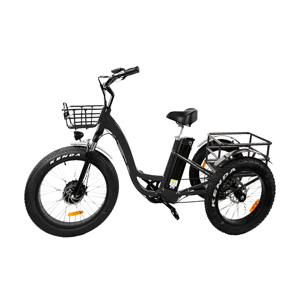 Ristar 2022 48V500W 700 Вт Электрический пассажирский трицикл для туда и обратно (RSD-708)