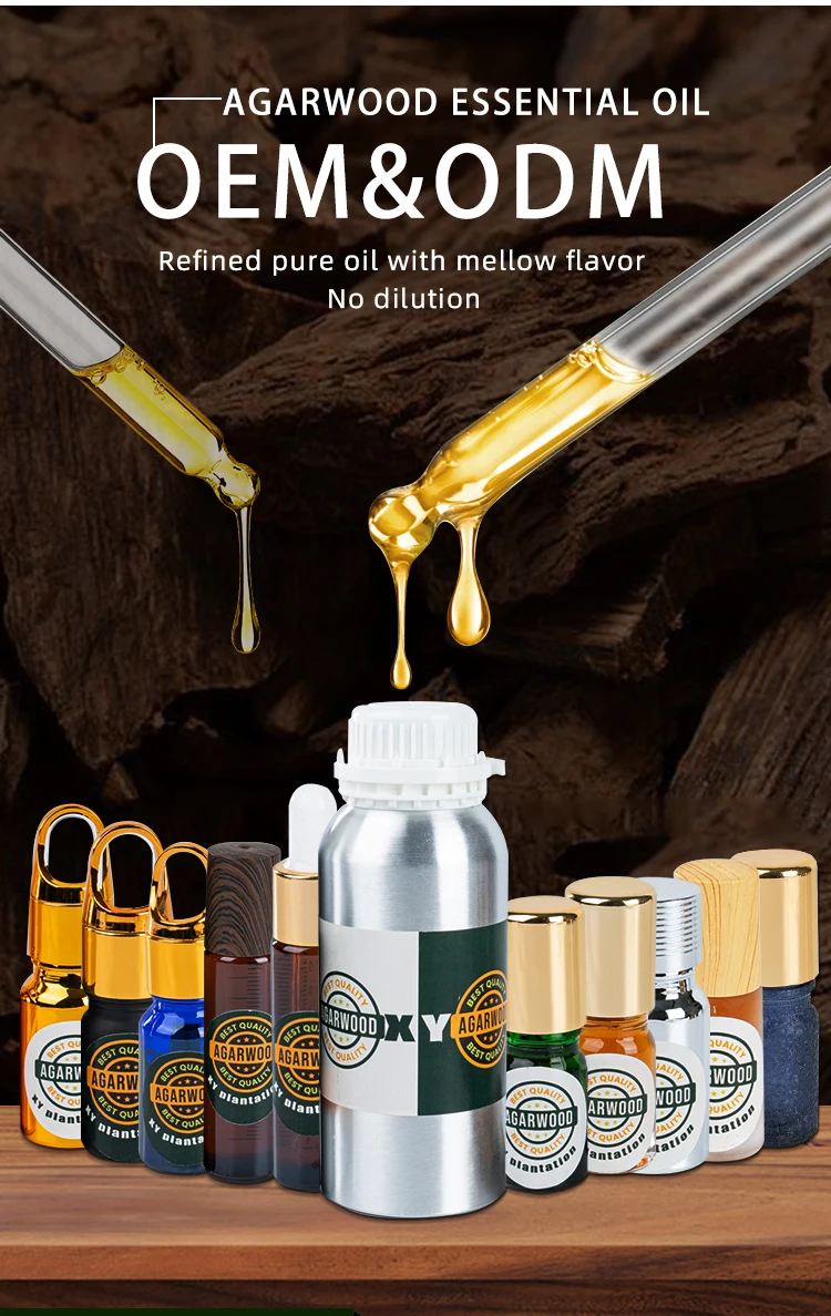 Best Selling Natural Agarwood Incense Stick Wild Insects Leak Incense