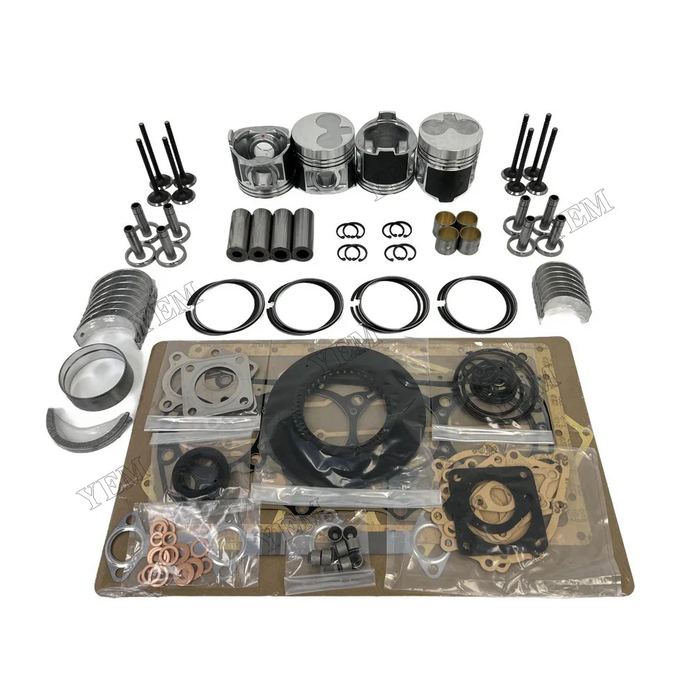 Engine Rebuilding Kit With Cylinder Gaskets Piston Rings Bearing Valves for Caterpillar 3024 Engine Parts China Manufacturer