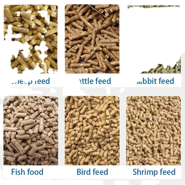 Feed Processing Machines Small Feed Pellet Machine  Flat Die Granulator Horse Dung Bird Manure Granular