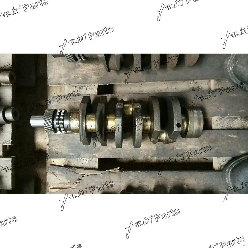 Extra Durable Crankshaft Kit For Isuzu 3KC2 Diesel Engine Machinery Engine Parts
