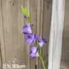 Dark purple single gladioli