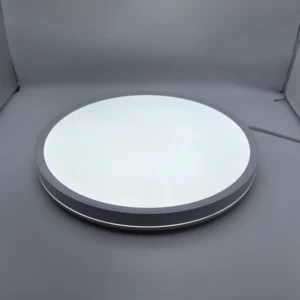 Modern 220V Flush Mounted LED Round Downlight for Dining Room  Indoor LED Ceiling Home Lighting Mini Size for Bedroom
