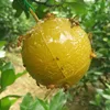 Jaune clair