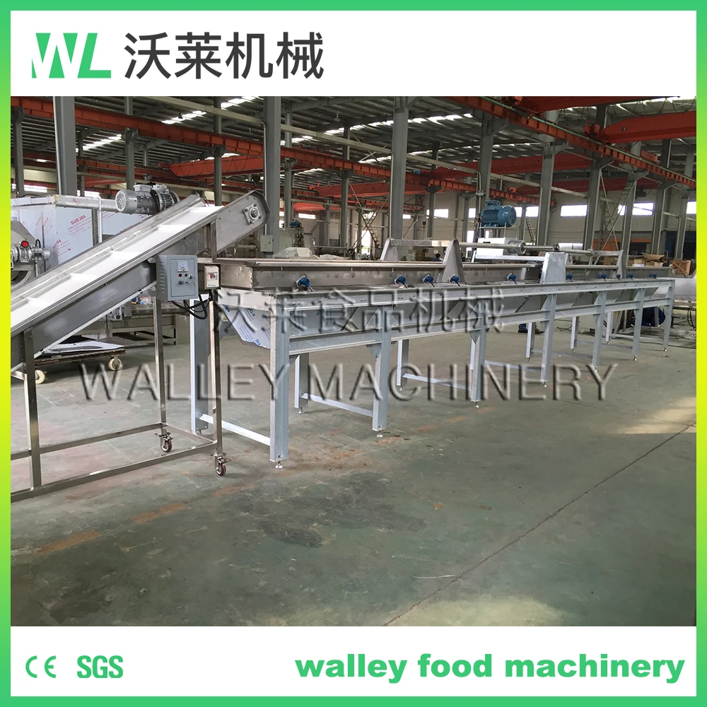 Hot Sale Automatic Dates Sorting Vibration Size Grader Vibrative