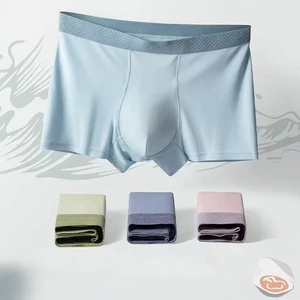 Ice Silk Boxer Underwear Comfortable Breathable Antibacterial Ultra-thin Ice Silk Business Men's Seamless Underwear Wholesale