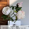 White peony