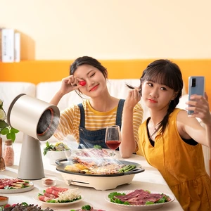 Price Kitchen Modern Household Portable Mini Desktop Range Hood Purifiers