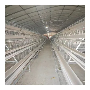 Broiler Wooden And Automatic Layer Cages For Egg Poultry Farm Chicken Cage