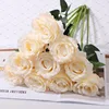 Silk cloth champagne