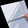 Copo de Nieve Holográfico Arcoíris (Soporte de Plástico)