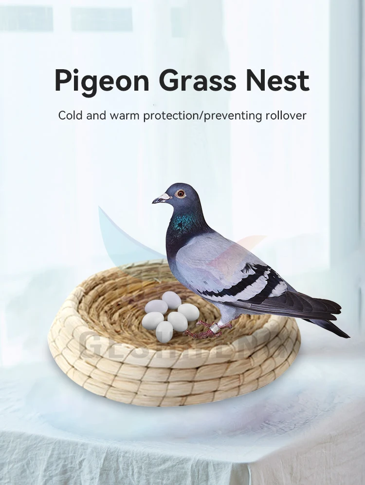 Pigeon Nests,Grass Nests,Homing Pigeons,Nest Basins,Racing Pigeon