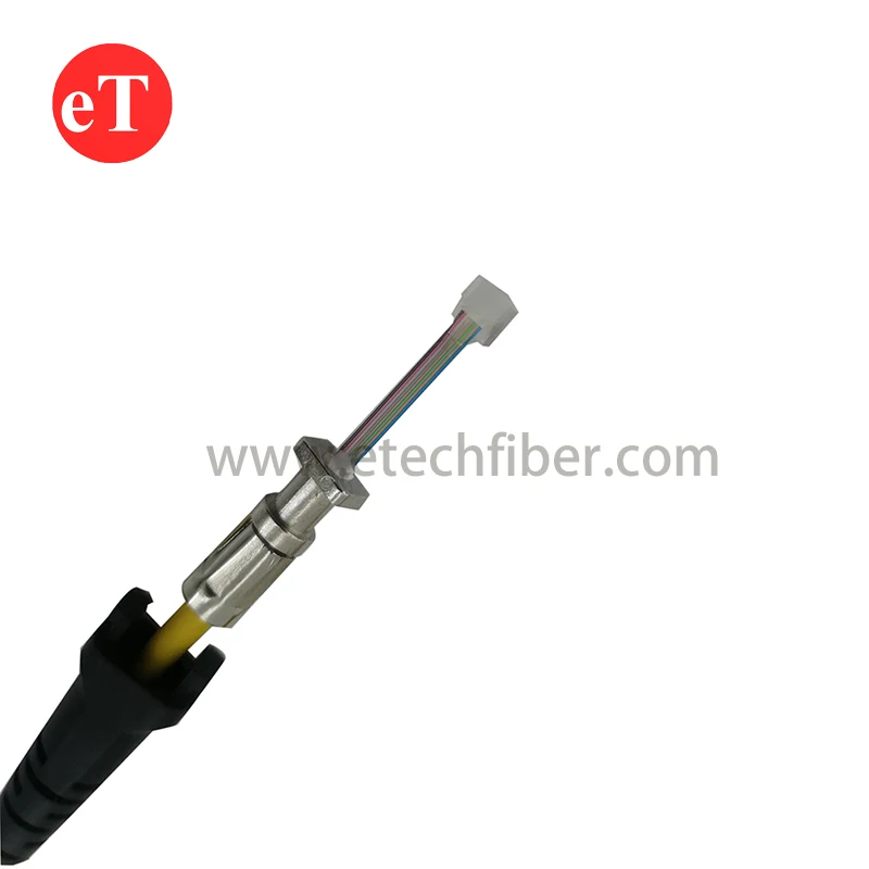 MPO MTP FAU FA Fiber Array MT Fiber Optic Patch Cord