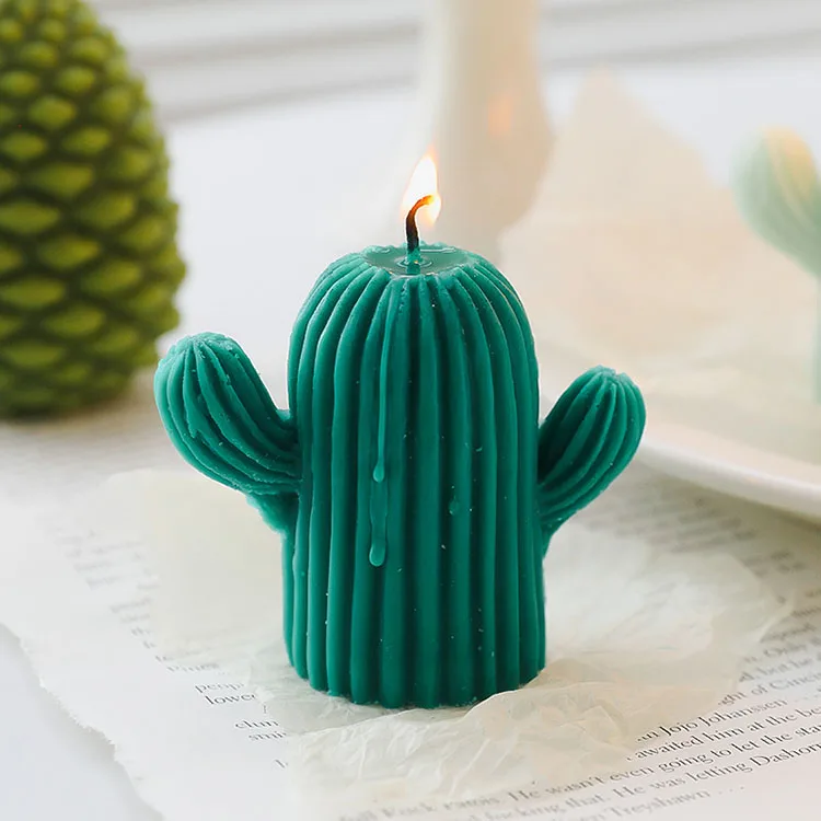 10 Stck handgemachte zarte saftige Kaktus kerzen Flammen lose Aroma  therapie, Kaktus Tee licht Kerzen fr Geburtstags feier Hochzeit Spa