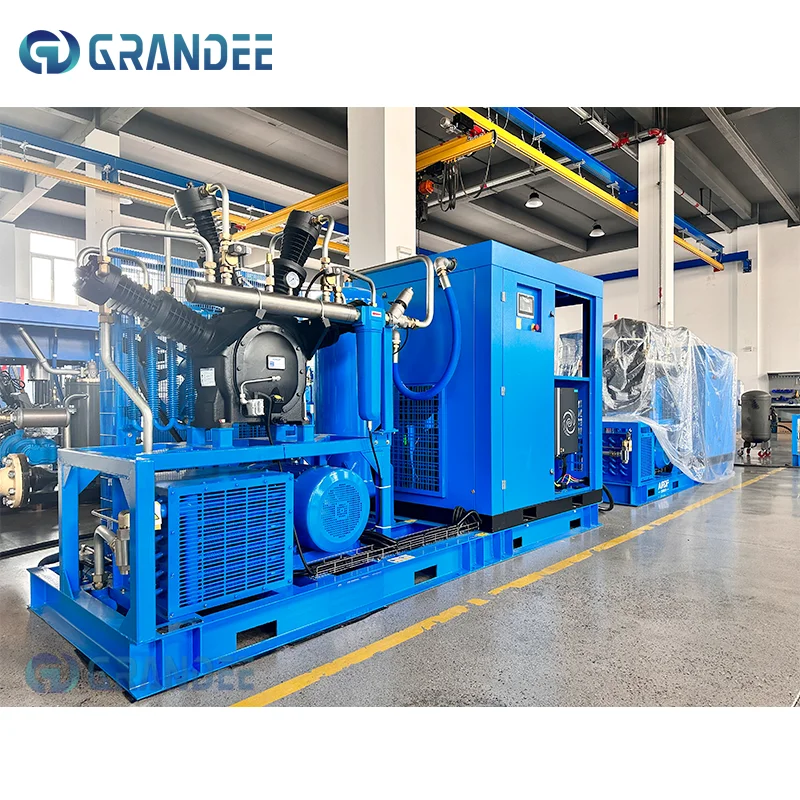Integrated Screw Booster Unit Supercharger Low-Voltage Screw with Fixed Piston PVC Lubrication Core Components Pump and Motor