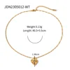 JDN2409019-RD
