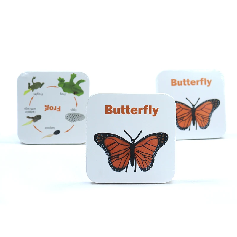 Customized Printed Flash Cards Full Color Learning Card Kids Manufacture Pattern English Learning Cards Phonic Flashcards
