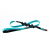 Blue leash