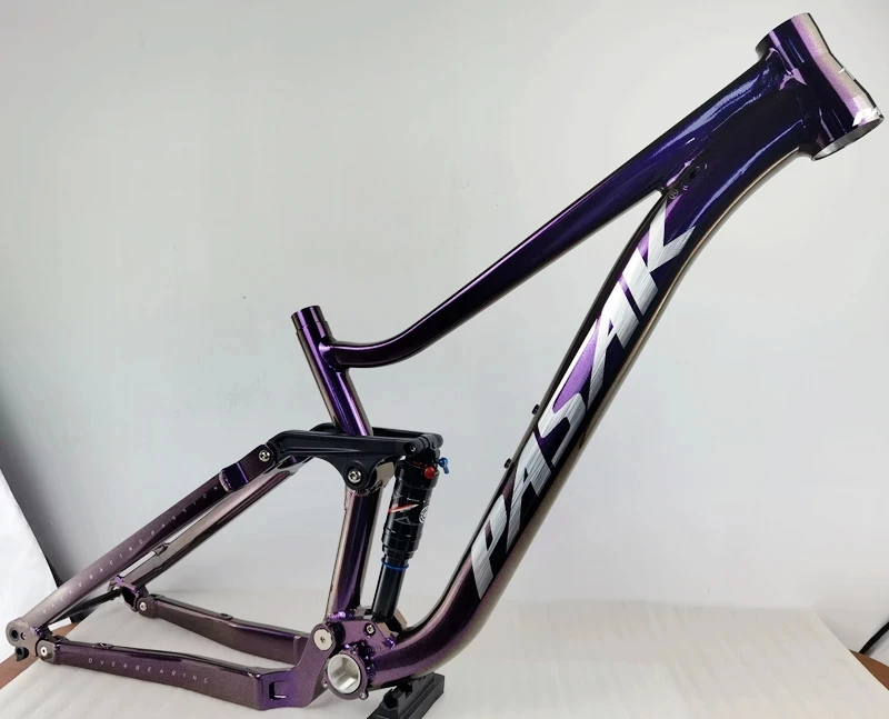 pasak mtb frame