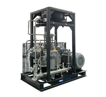 Oil-free Hydrogen compressor OF115-40-2-DP AUG1