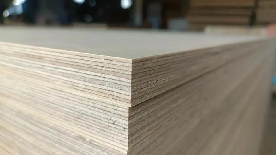 Plywood Birch WBP BB/BB 1250*2500mm details