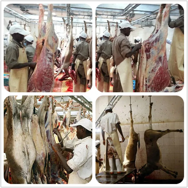 Donkey meat slaughterhouse processing and slaughtering machine