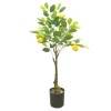 limonero 80cm