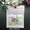 Flor de resina 13