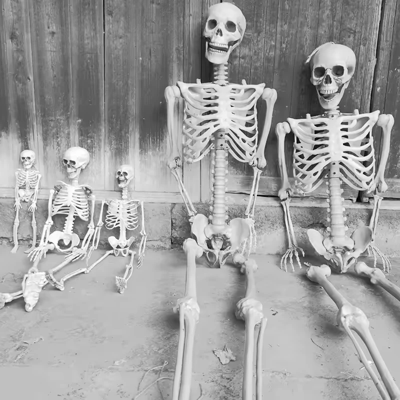 Creepy Joints Pos Ablebones Human Realistic Full Body Life Size Plastic Prop Halloween Skeleton for Indoor and Outdoor