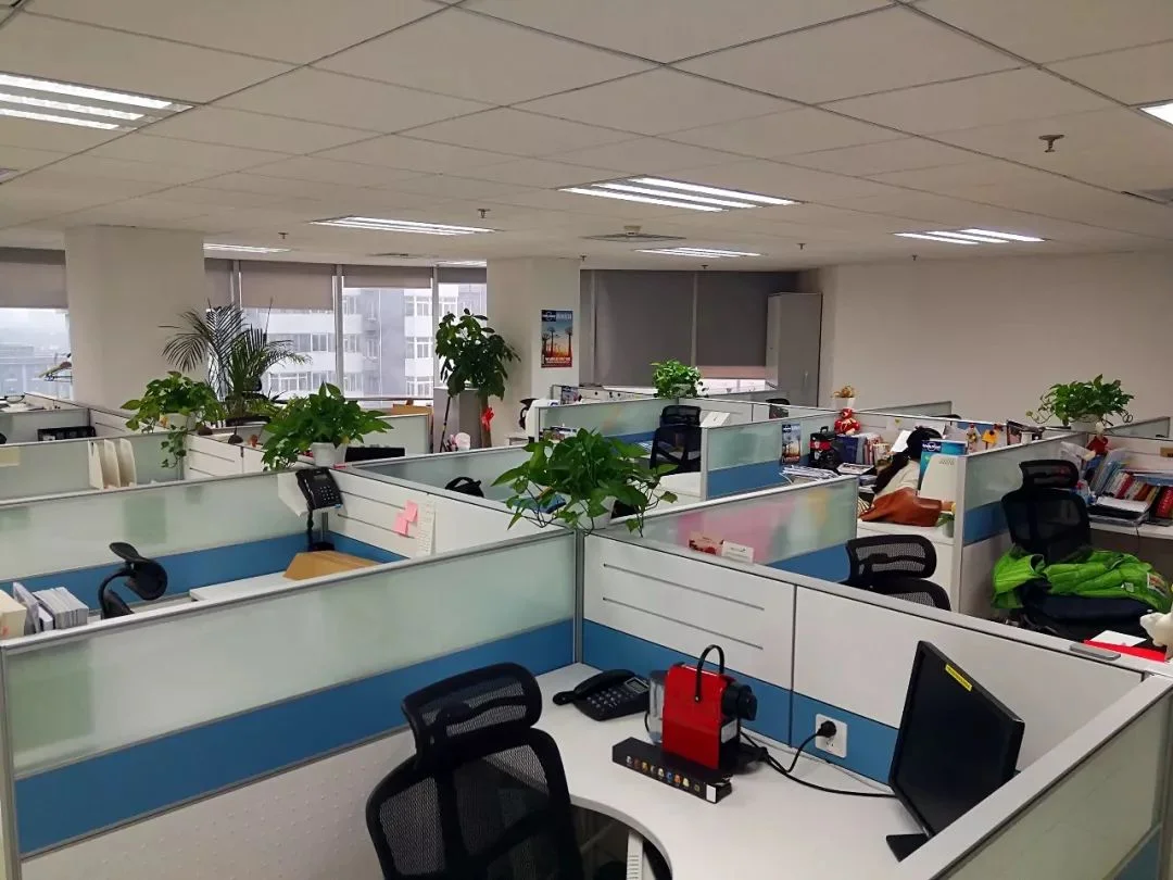 Xiamen Hanti Crafts Co., Ltd. 2