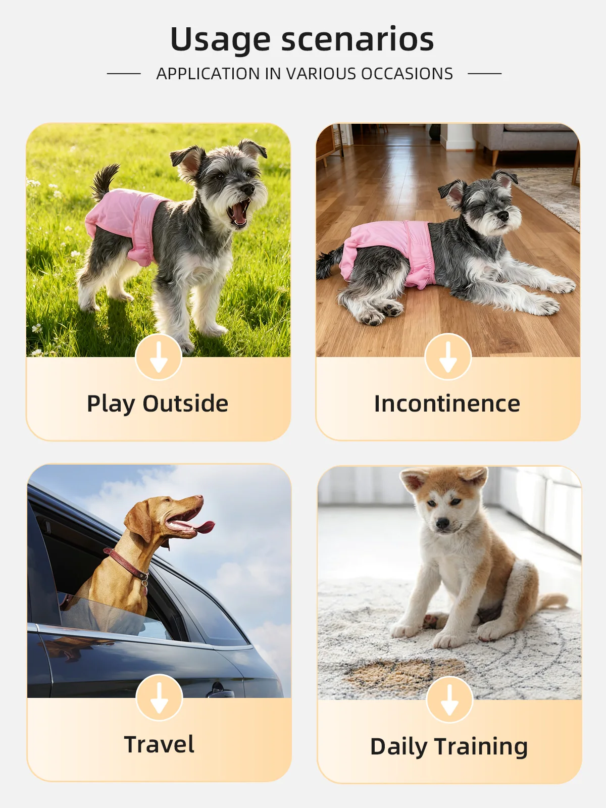 Wholesale Washable Reusable Premium Female Dog Diapers - product detail 6