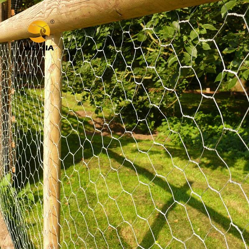 Professional Factory 11.8" Diameter X 15.7"Height  Plant Metal Mesh Protector and Cover, Garden Chicken Wire Cloche