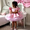 rosa 2