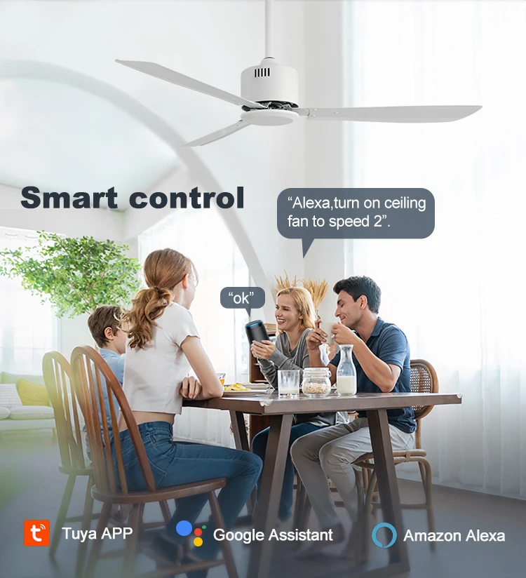 1stshine Ceiling Fan Factory Iron Blades Metal 50 Inches Ceiling Fan