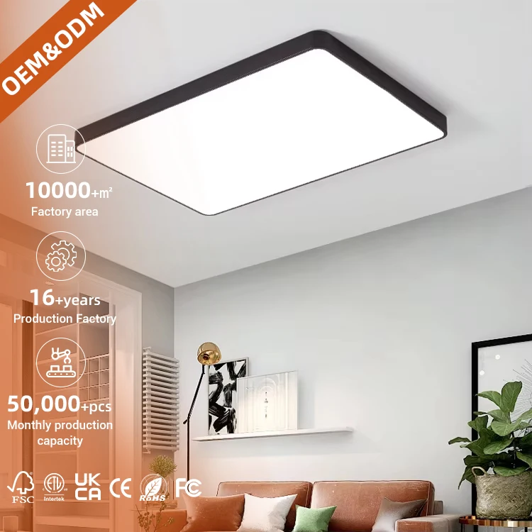 PUZHUOER Rectangular Ceiling Light 48W Simple Style Living Room Bedroom Study Dimmable Led Surface Smart Ceiling Light